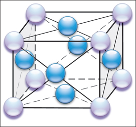 Schematic shows the multiple atomic force interactions between the 14 atoms