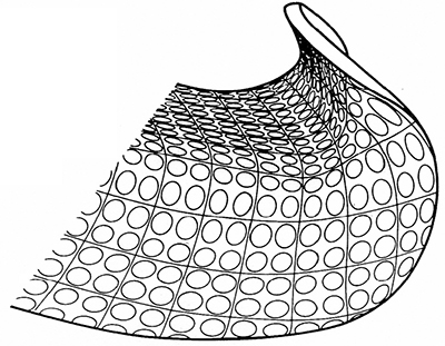 Fig. 2—Circle-gridded stampings