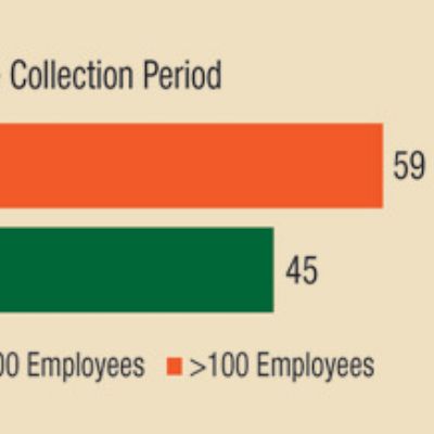 Company Size and Operational Performance