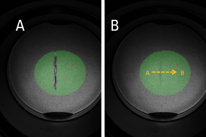 Fig2-AB