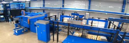 Flexible System for Punching, Shear...