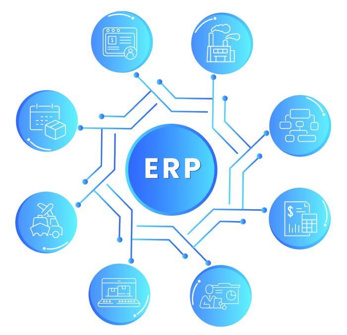 ERP-Graphic